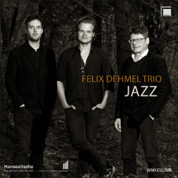 Felix Dehmel Trio Jazz Cover